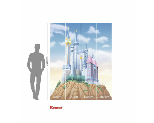 Fototapete mit Schlossmotiv, Abmessungen 250 x 200 cm