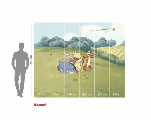 Winnie Puuh und seine Freunde auf einer Fototapete mit Größenangaben