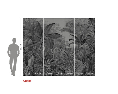 Fototapete mit Dschungelmotiv und Größenangaben