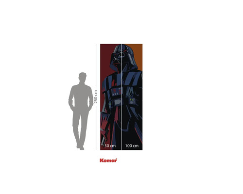 Fototapete mit Darth Vader Motiv, Abmessungen 250 x 100 cm