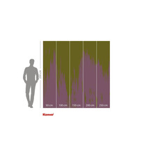 Komar Fototapete mit den Maßen 250 mal 250 Zentimeter