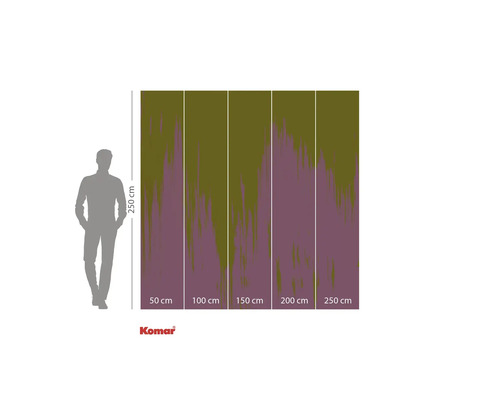 Komar Fototapete mit den Maßen 250 mal 250 Zentimeter