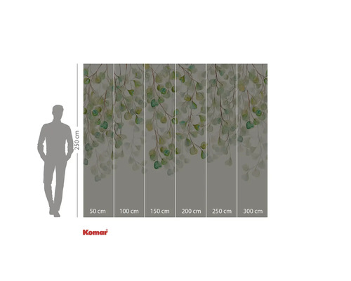 Fototapete mit Eukalyptusblättern und Größenangaben