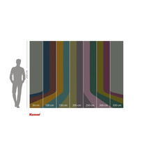 Abbildung einer Farbpaletten-Tapete mit Breiten von 50 bis 350 Zentimeter und einer Höhe von 250 Zentimeter.