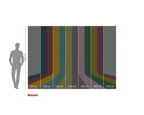 Abbildung einer Farbpaletten-Tapete mit Breiten von 50 bis 350 Zentimeter und einer Höhe von 250 Zentimeter.