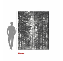 Fototapete mit Waldmotiv und Maßangaben