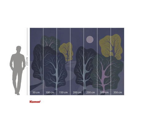 Fototapete mit Waldmotiv bei Nacht und Größenangaben