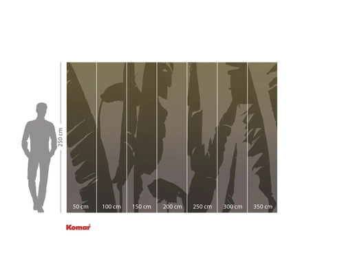 Komar Fototapete mit Blätter Motiv und Größenangaben.