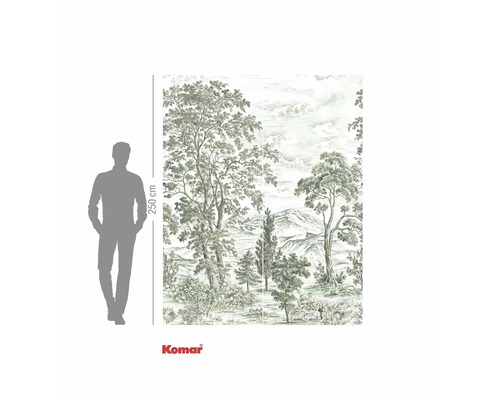Waldlandschaft Fototapete mit Größenangabe und Komar Logo