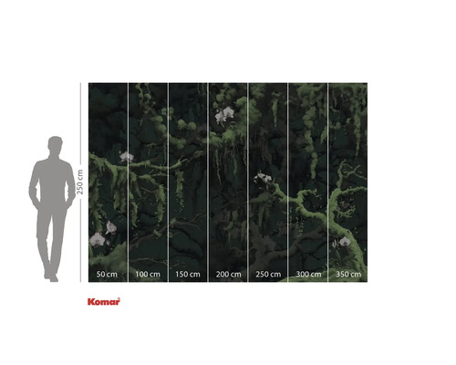 Komar Fototapete mit Orchideen und Moos, Größenangaben