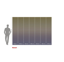 Größenangaben einer Fototapete mit einer Höhe von 250 cm und Breiten von 50 cm bis 350 cm.