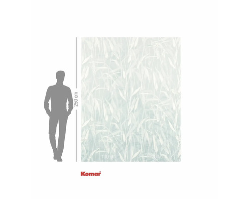 Fototapete mit Bambusmotiv, 250 mal 300 Zentimeter