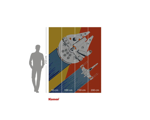 Mehrteilige Fototapete mit Illustration von Raumschiffen aus Star Wars