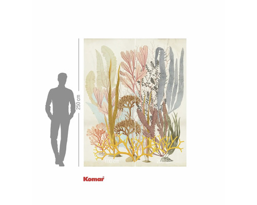 Fototapete mit Darstellung von Korallen und Algen