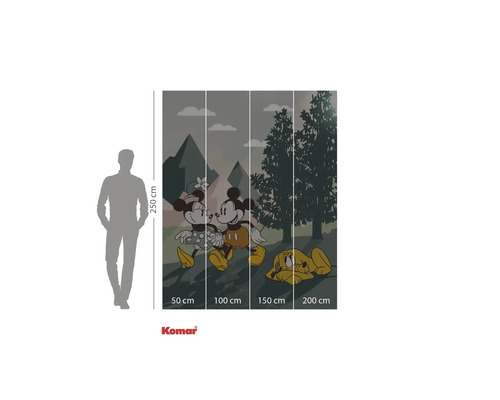 Komar Mickey Mouse und Pluto Fototapete mit den Maßen 250 mal 200 Zentimeter