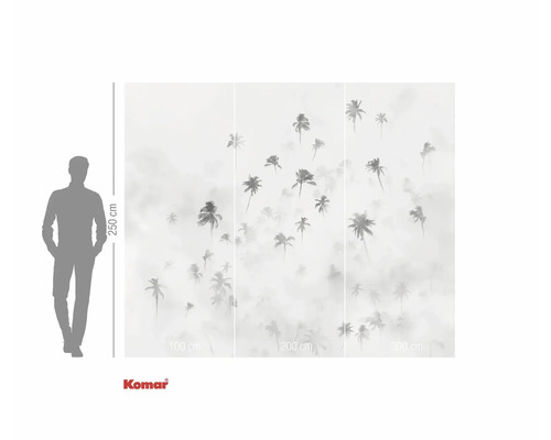 Fototapete mit Palmenmotiv, Abmessungen 250 mal 300 cm