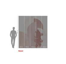 Fototapete mit Mickey Maus Motiv und Größenangaben.