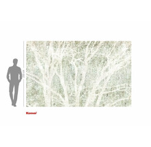 Komar Fototapete mit Waldmotiv und Größenangabe