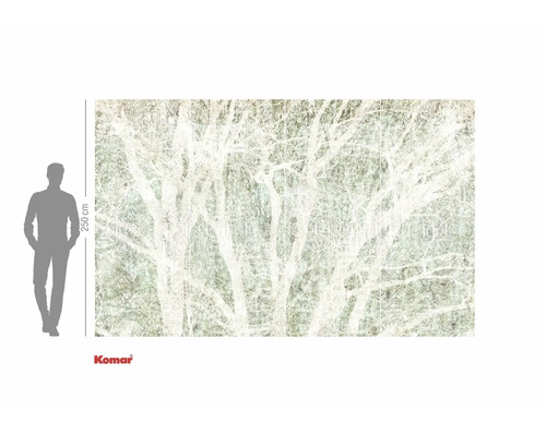 Komar Fototapete mit Waldmotiv und Größenangabe