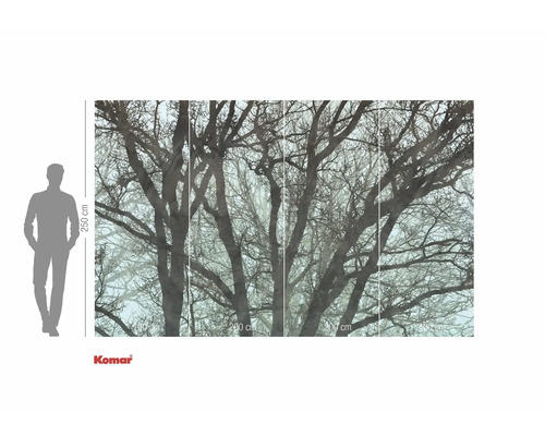 Komar Fototapete mit Baum-Motiv, 250 mal 400 cm