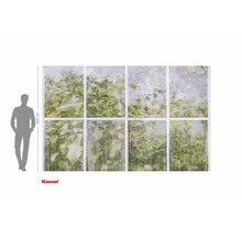 Fototapete mit Fenstermotiv und Pflanzen