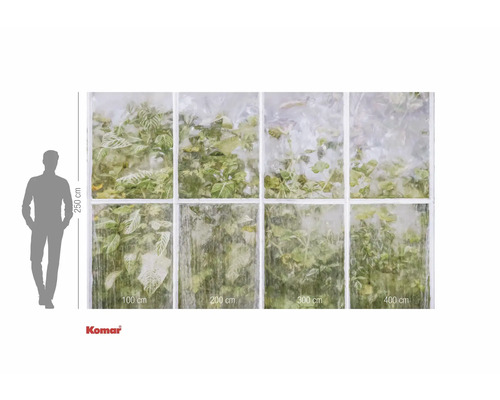 Fototapete mit Fenstermotiv und Pflanzen