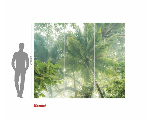 Komar Fototapete mit Palmenmotiv und Größenangaben