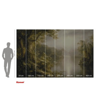 Komar Fototapete mit Dschungelmotiv und Größenangaben