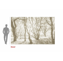 Fototapete mit Waldmotiv und Größenangaben