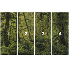 Vierteiliges Fotomotiv eines moosbewachsenen Waldstücks
