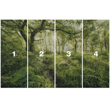 Vierteilige Fototapete mit Waldmotiv