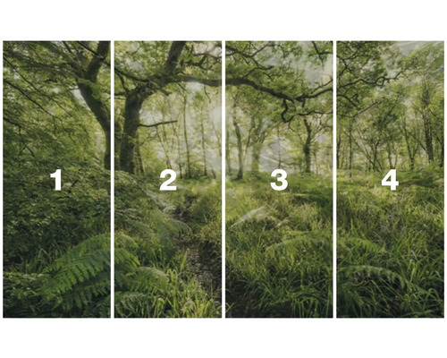 Vierteilige Fototapete mit Waldmotiv