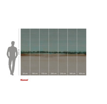 Fototapete mit abstraktem Landschaftsmotiv und Größenangaben.