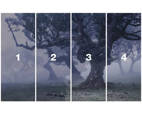 Vierteiliges Wandbild mit Bäumen im Wald