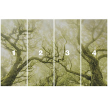 Vierteilige Fototapete mit einem Waldmotiv im Nebel