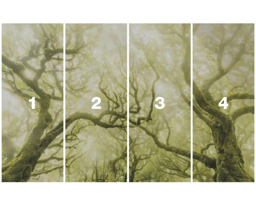 Vierteilige Fototapete mit einem Waldmotiv im Nebel