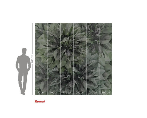 Fototapete mit grafischem Blättermotiv und Größenangaben