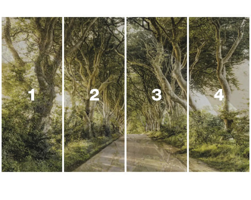 Vierteiliges Wandbild mit einer Straße durch einen Wald.