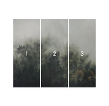 Dreiteiliges Waldtapetenmotiv mit Nebel