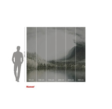 Komar Fototapete mit dem Motiv eines Sees im Nebel, Größenangaben inklusive