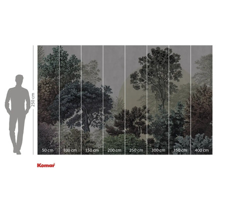 Fototapete mit Waldmotiv und Größenangaben