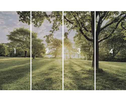 Vierteilige Fototapete mit Baumlandschaft im Park