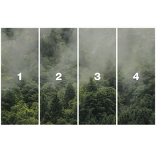 Vierteilige Fototapete mit Waldmotiv und Nebel