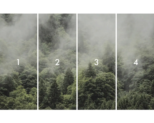 Vierteilige Fototapete mit Waldmotiv und Nebel
