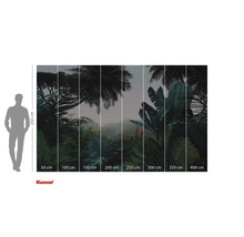 Komar Fototapete mit tropischem Waldmotiv und Größenangaben.