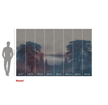 Fototapete mit Waldlandschaft und See zur Wanddekoration