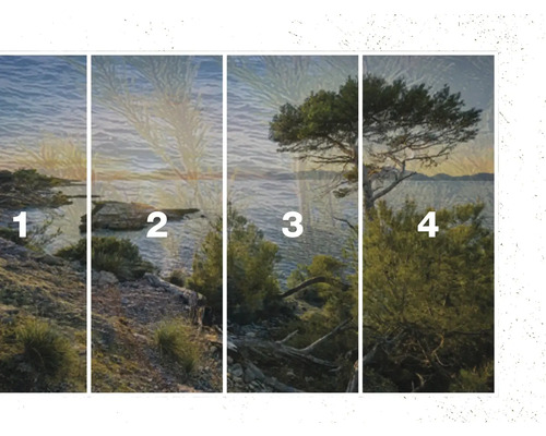Vierteilige Fototapete mit Landschaftsmotiv von Küste und Vegetation