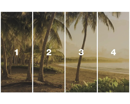 Vierteiliges Landschaftsbild mit Palmen am Strand