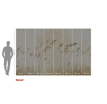 Komar Fototapete mit Schilfmotiv und Größenangaben