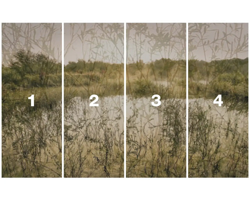 Vierteiliges Landschaftsbild mit Bäumen und Büschen